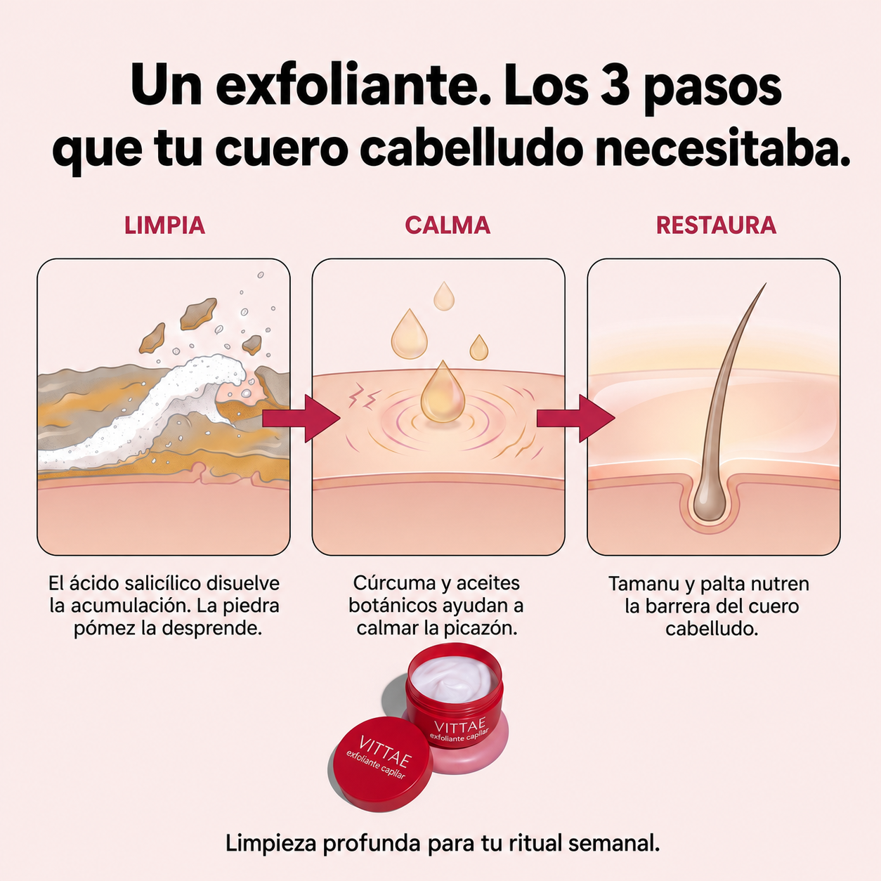Cómo actúa el exfoliante purificante Vittae