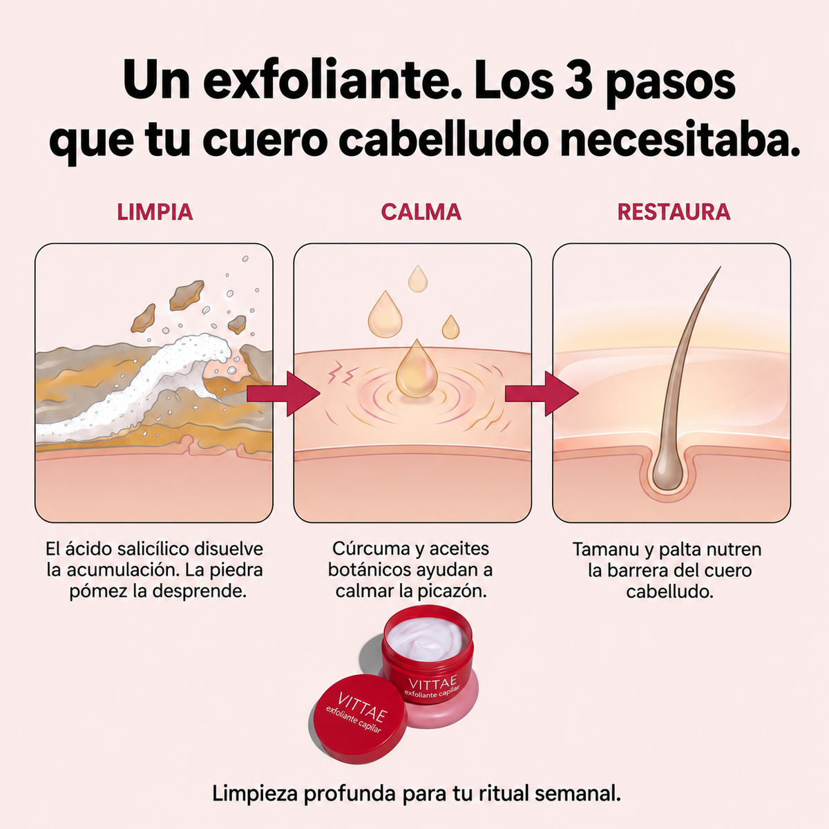 Vittae exfoliante capilar mecanismo limpia calma restaura